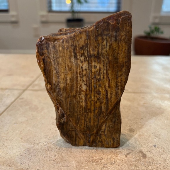 petrified wood - Picture 6 of 10